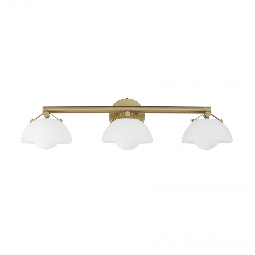 Studio M DOMAIN SM31003FTNAB Bathroom Fixture Traditional - Natural Aged Brass
